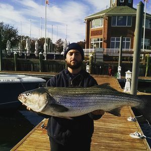 Meet your Posher, Anthony